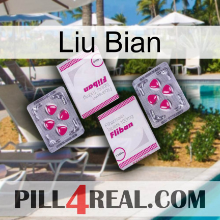 Liu Bian 33